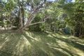 Property photo of 15 Tamarix Street Chapel Hill QLD 4069