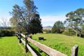 Property photo of 171C Strongs Road Jaspers Brush NSW 2535