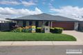 Property photo of 15 Majestic Circuit Thornlands QLD 4164