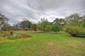 Property photo of 126 Grassmere-Hexham Road Grassmere VIC 3281