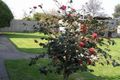 Property photo of 6 Cleal Court Noble Park VIC 3174