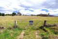 Property photo of Mount Darragh Road Wyndham NSW 2550