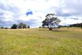 Property photo of Mount Darragh Road Wyndham NSW 2550