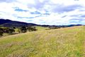 Property photo of Mount Darragh Road Wyndham NSW 2550