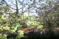 Property photo of 18 Fern Road Upper Ferntree Gully VIC 3156