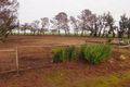 Property photo of 749 Traeger Road Grace Plains SA 5502