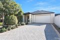 Property photo of 7 Sunshine Avenue Warradale SA 5046