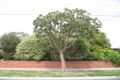 Property photo of 48 Kenneth Street Sandringham VIC 3191