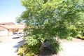 Property photo of 1/6 Brinkworth Street South Plympton SA 5038