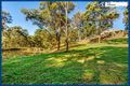 Property photo of 8 Walla Court Mudgeeraba QLD 4213