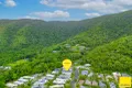 Property photo of 10 Seclusion Drive Palm Cove QLD 4879