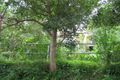 Property photo of 25 James Street Chatswood NSW 2067