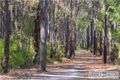 Property photo of 10 Walilya Way Witchcliffe WA 6286