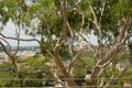 Property photo of 5 View Street Arncliffe NSW 2205