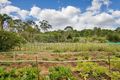 Property photo of 45 Schofields Road Tallawong NSW 2762