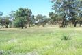 Property photo of 16 Harrier Street Temora NSW 2666