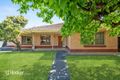 Property photo of 24 Alfred Street Parkside SA 5063