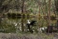 Property photo of 91 Musk Gully Road Lancefield VIC 3435