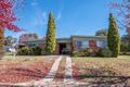 Property photo of 1 Johnson Avenue Armidale NSW 2350
