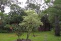 Property photo of 12 Scullin Street Mudgeeraba QLD 4213