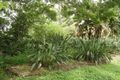 Property photo of 463 Koah Road Koah QLD 4881