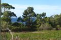 Property photo of 178 Blowhole Road Eaglehawk Neck TAS 7179