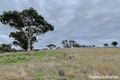 Property photo of 77 Dowling Drive Murringo NSW 2586