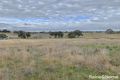 Property photo of 77 Dowling Drive Murringo NSW 2586