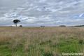 Property photo of 77 Dowling Drive Murringo NSW 2586
