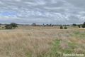 Property photo of 77 Dowling Drive Murringo NSW 2586