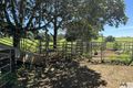 Property photo of 326 Donkin Road Utchee Creek QLD 4871