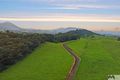 Property photo of 326 Donkin Road Utchee Creek QLD 4871