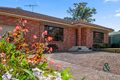 Property photo of 3 Sequoia Street Medowie NSW 2318