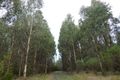 Property photo of 30 Morris Track Lavers Hill VIC 3238