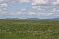 Property photo of 134 Coliban Downs Road Spring Hill VIC 3444