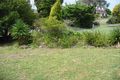 Property photo of 14 Eltham Street Beacon Hill NSW 2100