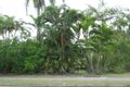 Property photo of 359 Slade Point Road Slade Point QLD 4740