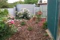 Property photo of 1/31 Park Terrace Bordertown SA 5268