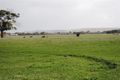 Property photo of 27 Papleys Road Tyrendarra VIC 3285