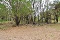 Property photo of 11-13 Rainbow Avenue Macleay Island QLD 4184