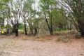 Property photo of 11-13 Rainbow Avenue Macleay Island QLD 4184