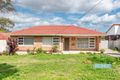 Property photo of 11 Hotchkiss Drive Balcatta WA 6021