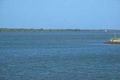 Property photo of 82 Marina Parade Jacobs Well QLD 4208