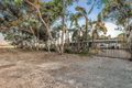 Property photo of 14 Peppermint Road Lewiston SA 5501