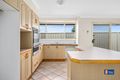 Property photo of 36 Throsby Drive Narellan Vale NSW 2567