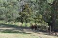 Property photo of 2 Wakehurst Avenue Batlow NSW 2730