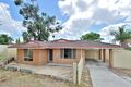 Property photo of 20 Rheingold Place Mirrabooka WA 6061