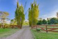 Property photo of 592 Cedar Creek Road Gheerulla QLD 4574