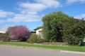 Property photo of 14 Shalford Terrace Campbelltown SA 5074