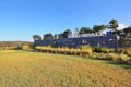 Property photo of 3 Calder Street Denham Court NSW 2565